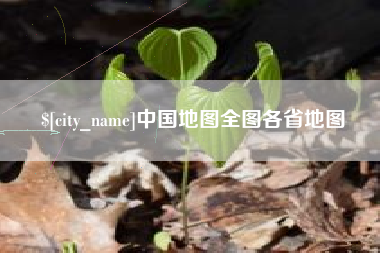 茌平中国地图全图各省地图