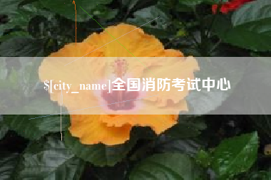 茌平全国消防考试中心