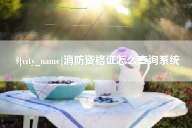 茌平消防资格证怎么查询系统