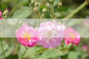 茌平第九金是