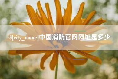 茌平中国消防官网网址是多少