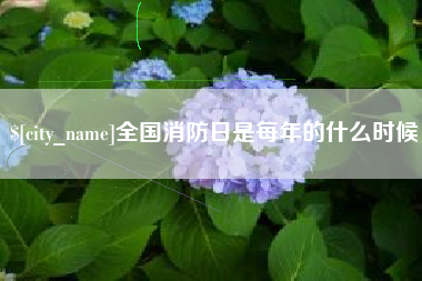 茌平全国消防日是每年的什么时候