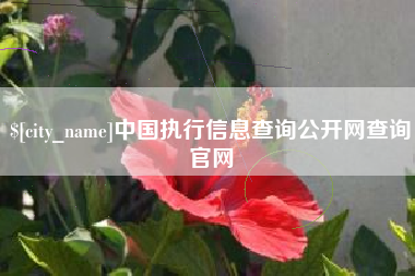 茌平中国执行信息查询公开网查询官网