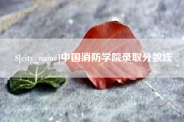 茌平中国消防学院录取分数线