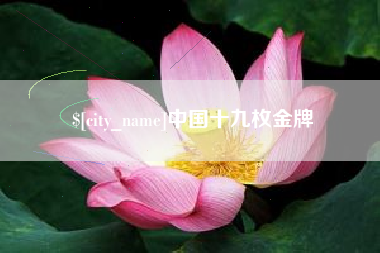 茌平中国十九枚金牌