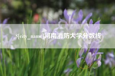 茌平河南消防大学分数线