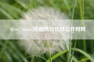 茌平中国执行信息公开网网