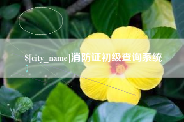 茌平消防证初级查询系统