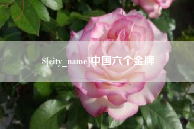 茌平中国六个金牌