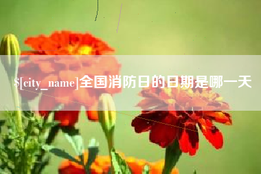 茌平全国消防日的日期是哪一天