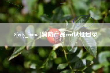 茌平消防产品cccf认证目录