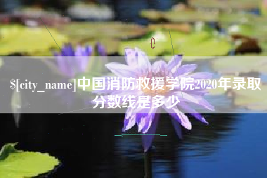 茌平中国消防救援学院2020年录取分数线是多少