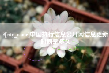 茌平中国执行信息公开网信息更新时间是多久