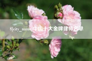 茌平中国十大金牌律师名单