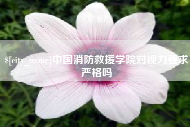 茌平中国消防救援学院对视力要求严格吗