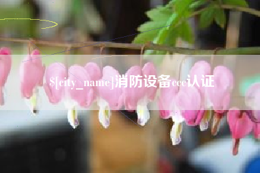 茌平消防设备ccc认证