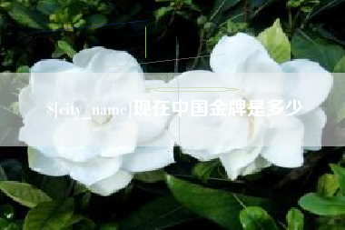 茌平现在中国金牌是多少