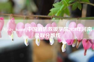 茌平中国消防救援学院2020年河南录取分数线