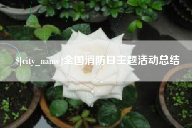 茌平全国消防日主题活动总结