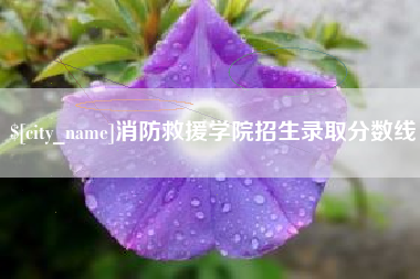 茌平消防救援学院招生录取分数线
