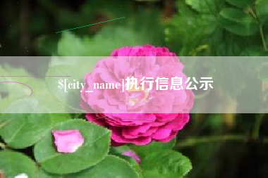 茌平执行信息公示