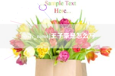 茌平王子豪是怎么写