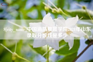茌平中国消防救援学院2021年山东录取分数线是多少