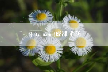 茌平成都 消防
