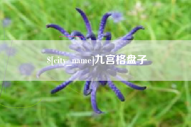 茌平九宫格盘子