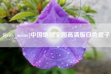 茌平中国地图全图高清版白色底子