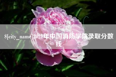 茌平2021年中国消防学院录取分数线