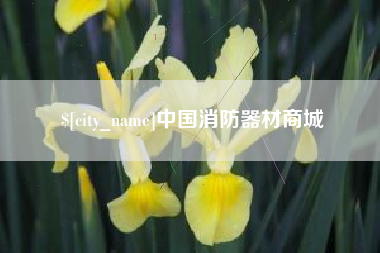 茌平中国消防器材商城