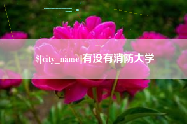 茌平有没有消防大学