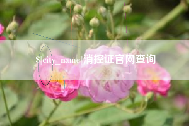 茌平消控证官网查询