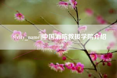 茌平中国消防救援学院介绍