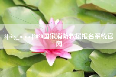 茌平2020国家消防救援报名系统官网