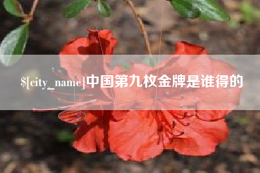 茌平中国第九枚金牌是谁得的