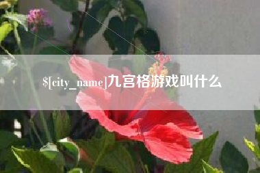 茌平九宫格游戏叫什么
