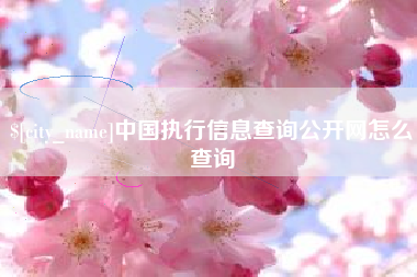 茌平中国执行信息查询公开网怎么查询
