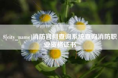 茌平消防官网查询系统查询消防职业资格证书