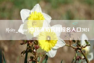茌平中国消防官网报名入口2024