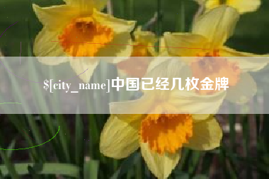 茌平中国已经几枚金牌