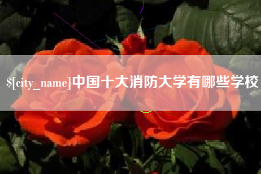 茌平中国十大消防大学有哪些学校