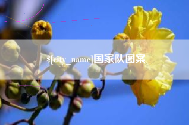 茌平国家队图案