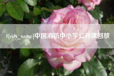 茌平中国消防中小学公开课回放