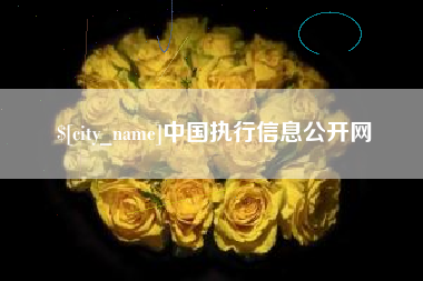 茌平中国执行信息公开网