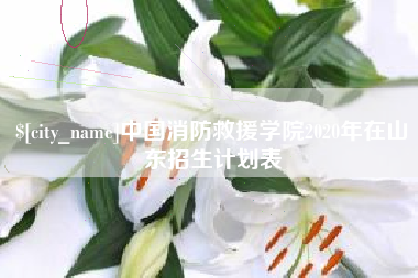 茌平中国消防救援学院2020年在山东招生计划表