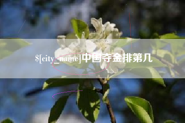 茌平中国夺金排第几