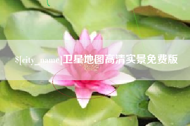 茌平卫星地图高清实景免费版