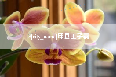 茌平邱县王子磊